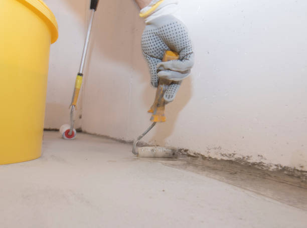 Best Termite Inspection and Treatment  in Hyde, PA